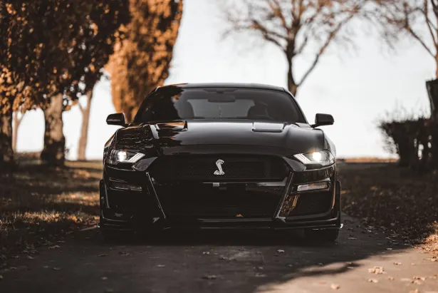 Kasino Golden Palace Android/iOS Sovellus